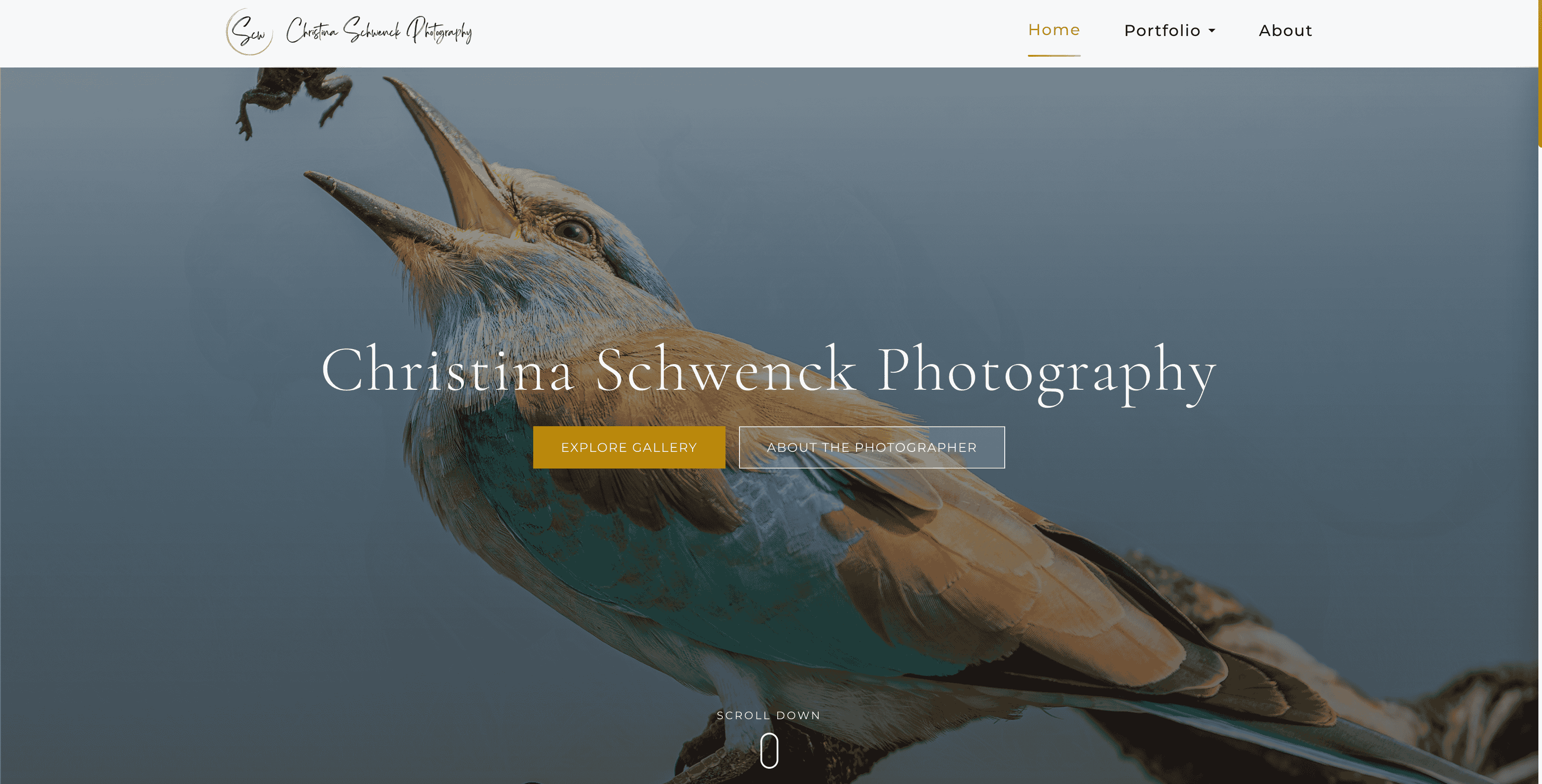 SCW Wildlife Photography